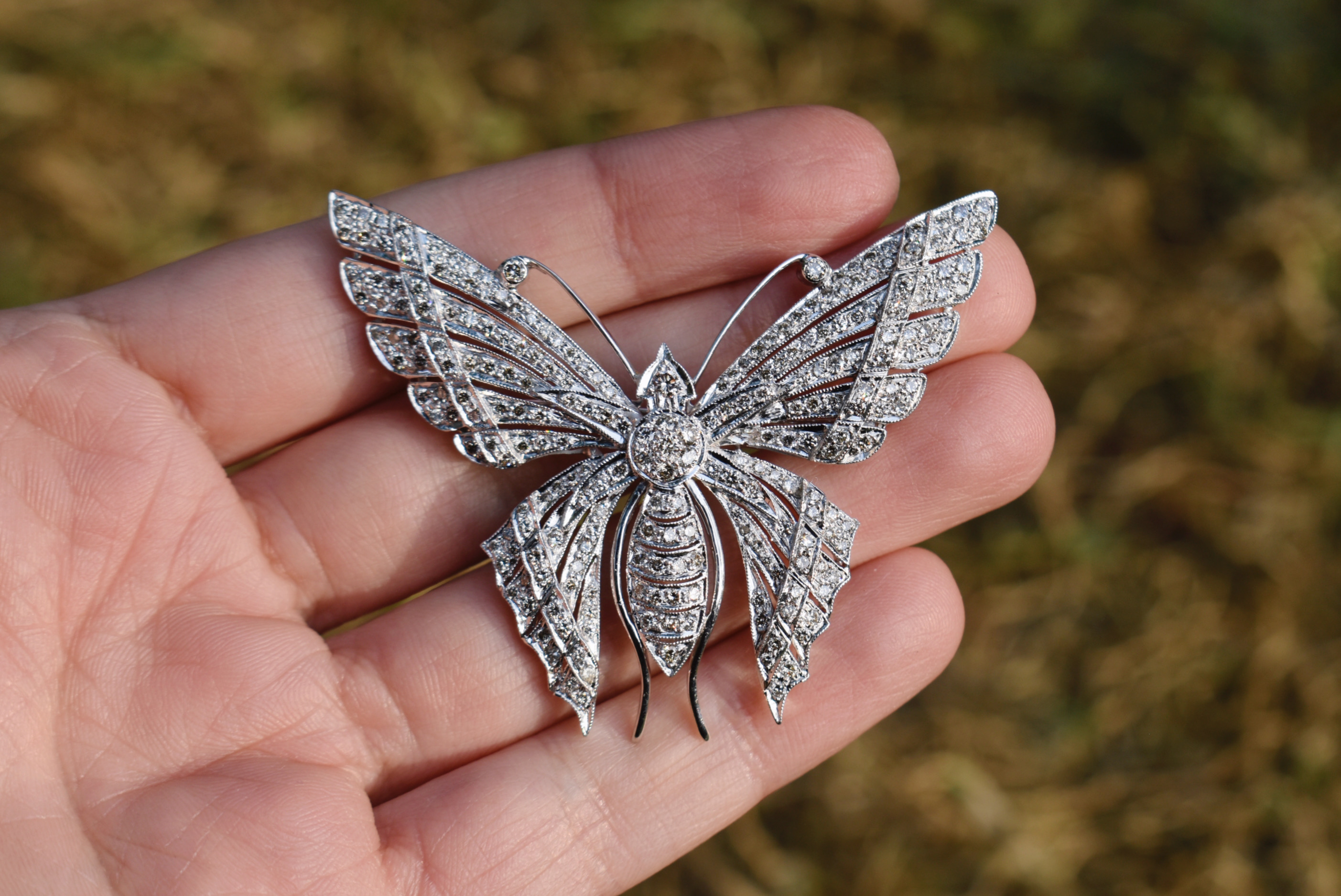 Diamond Butterfly